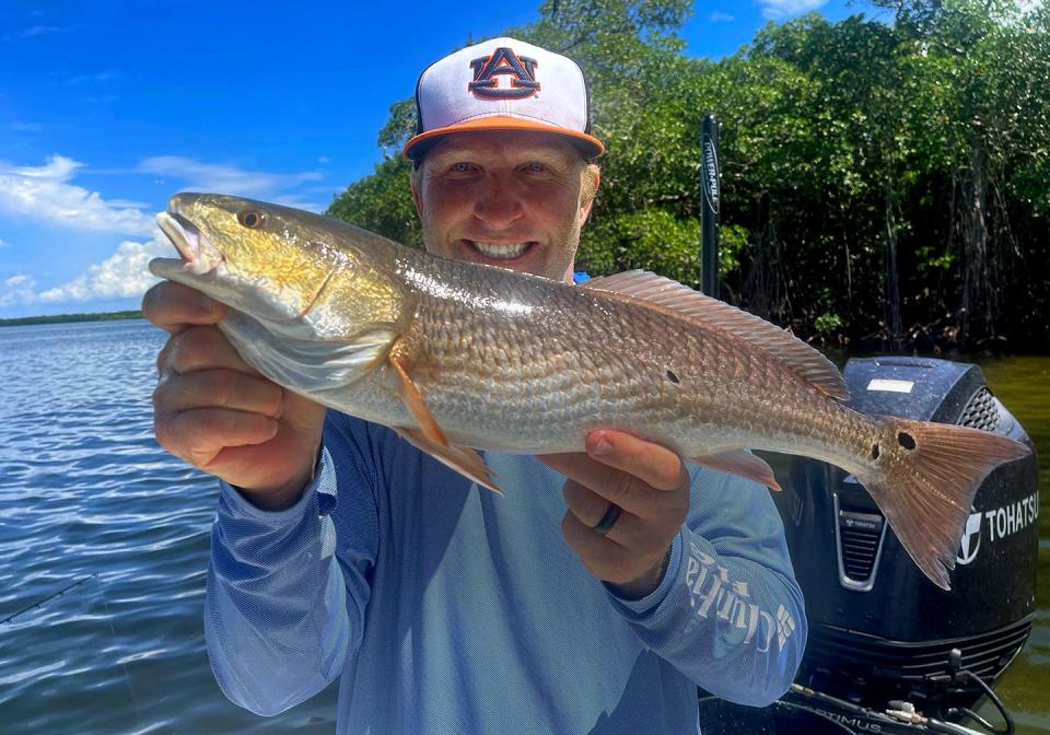 Scott Steiss of St. Petersburg caught this 25-inch redfish on live scaled sardine while fishing in lower Tampa fishing with Capt. John Gunter this week.