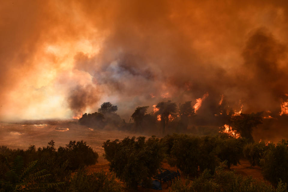 ADANA, TURKEY - AUGUST 02: Smoke and flames rise as the fight against the fire continues in Adana, Turkey on August 02, 2021. It was stated that the fire started in the field and spread to the forest area. (Photo by Ozan Efeoglu/Anadolu Agency via Getty Images)