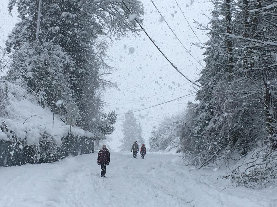 People walk up a closed off road as snow continued to fall in Olympia, Wash., on Monday, Feb. 11, 2019. Schools closed across Washington state and the Legislature canceled all hearings Monday with winter snowstorms pummeling the Northwest again as a larger weather system wreaked havoc in the region and even brought snow to Hawaii. (AP Photo/Rachel La Corte)