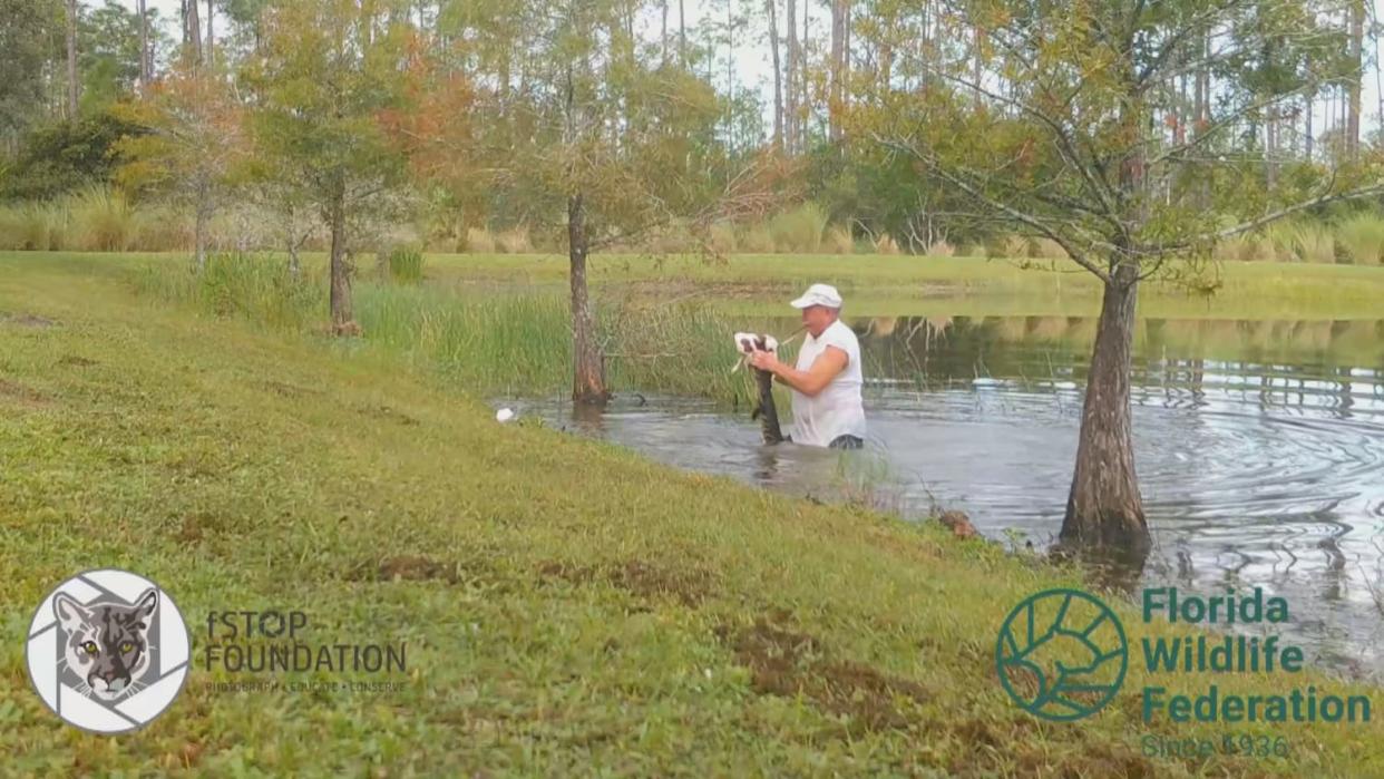 RIchard Wilbanks rescues his puppy Gunner from the mouth of a gator. (fStop Foundation/Florida Wildlife Federation via WBBH)