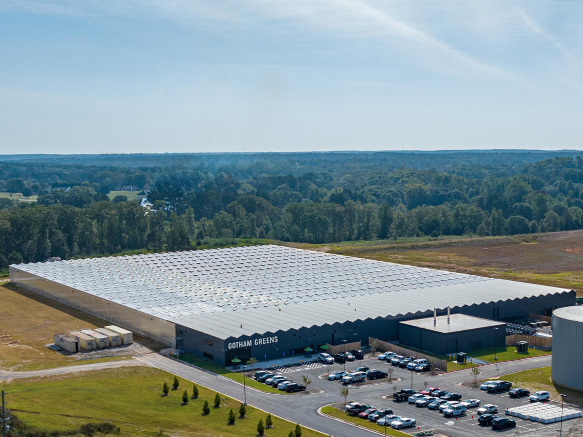 Kroger ramps up distribution with indoor farmer Gotham Greens