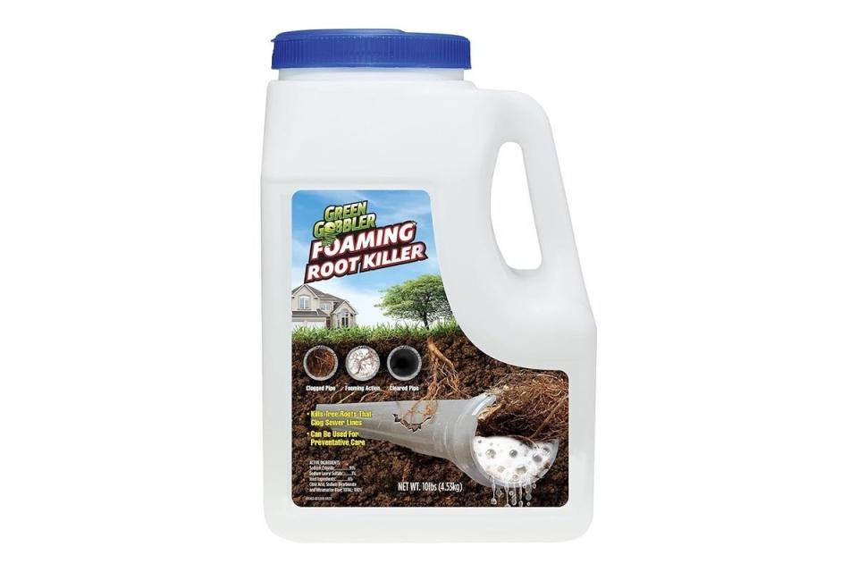 The Products Our Readers Bought in January Option Green Gobbler Foaming Root Killer