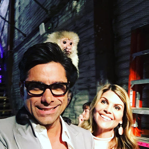 Monkey who played Marcel on Friends in photo shoot with Kendall