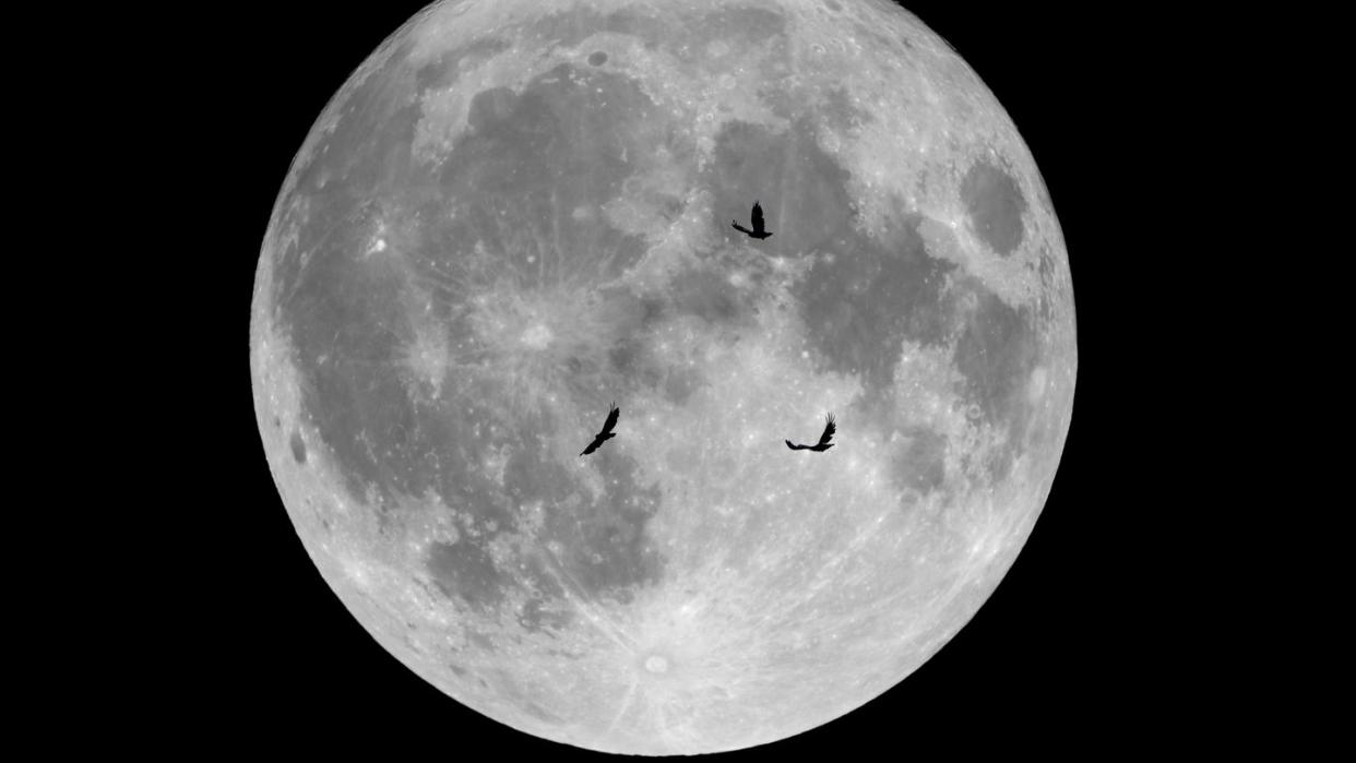 full moon of october 2019 and crows