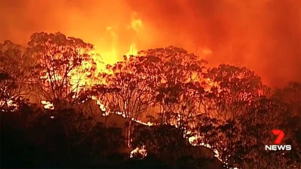 Police are hunting for an arsonist who sparked a bushfire in Sydney’s southwest. Source: 7 News