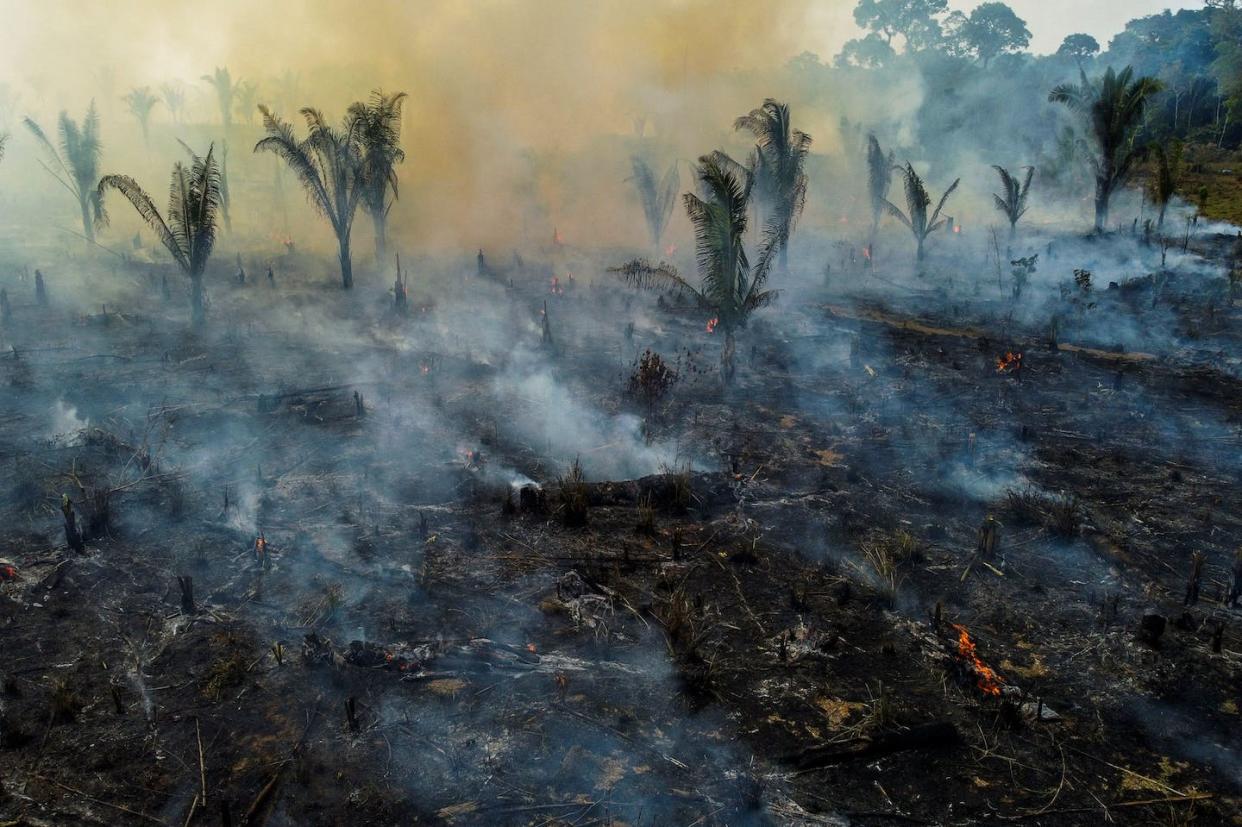 A burnt area in Amazonas state, Brazil, Sept. 21, 2022. Fires in the Amazon are often set to clear land. <a href="https://www.gettyimages.com/detail/news-photo/view-of-a-burnt-are-of-the-amazonia-rainforest-in-apui-news-photo/1243414040" rel="nofollow noopener" target="_blank" data-ylk="slk:Michael Dantas/AFP via Getty Images;elm:context_link;itc:0;sec:content-canvas" class="link ">Michael Dantas/AFP via Getty Images</a>