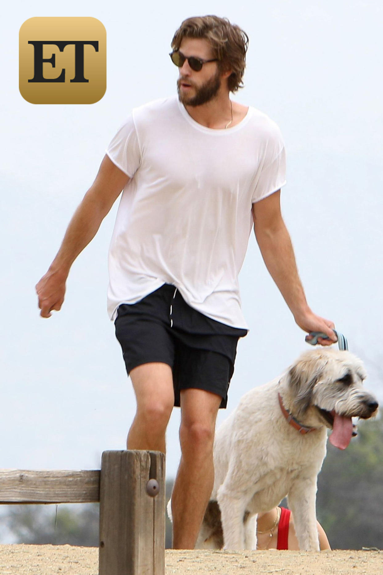 AG_808811 -  - *EXCLUSIVE* Los Angeles, CA - Miley Cyrus and Liam Hemsworth keep their bodies in shape by taking their dogs for a hike. Miley looked very fit and healthy showing off her abs in a red sports bra and matching red short shorts. Liam opted for a casual look with a plain white tee and navy board shorts. The couple shielded their eyes with sunglasses and looked to be finishing their hike as they were seen getting into their Range Rover to leave.Pictured: Miley Cyrus, Liam HemsworthAKM-GSI 6 APRIL 2017BYLINE MUST READ: LESE / AKM-GSI Maria Buda(917) 242-1505mbuda@akmgsi.com Mark Satter(317) 691-9592msatter@akmgsi.com or sales@akmgsi.com