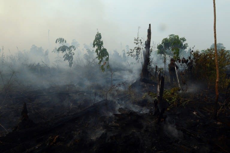 A worker from a palm oil concession company, seen at right, extinguishes forest fire in the Kampar district, Riau province on Sumatra island, on June 29, 2013. Forest fires on Sumatra in June left neighbouring Singapore and Malaysia choking on hazardous levels of smog from the worst haze in more than a decade