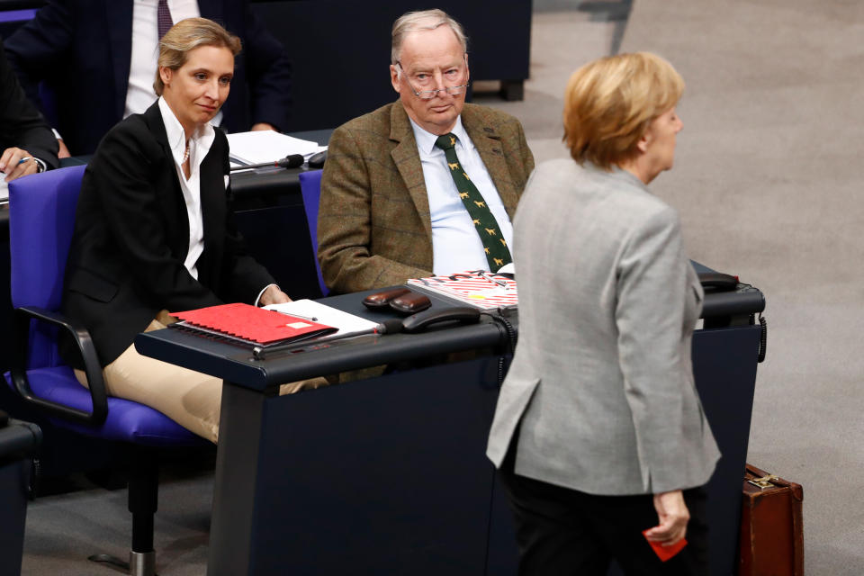 Die Bilder des Jahres: AfD