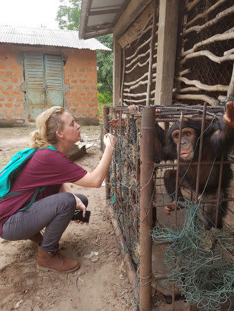 WARA Conservation Project Coordinator Charlotte Houpline looks at chimpanzees in a cage in a private zoo in Kindia, Guinea April 12, 2017. WARA Conservation Project/Handout via Reuters