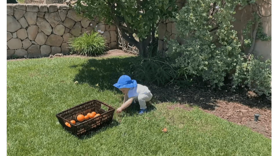 Archie in Prince Harry and Meghan Markle's garden at their Montecito home