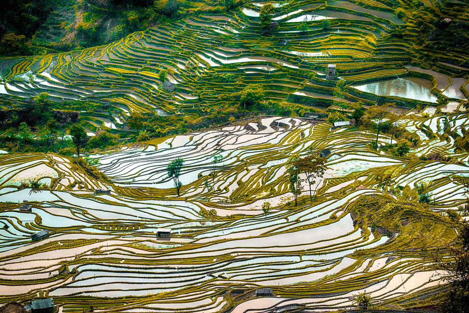 China’s rice terraces — The most beautiful in the world