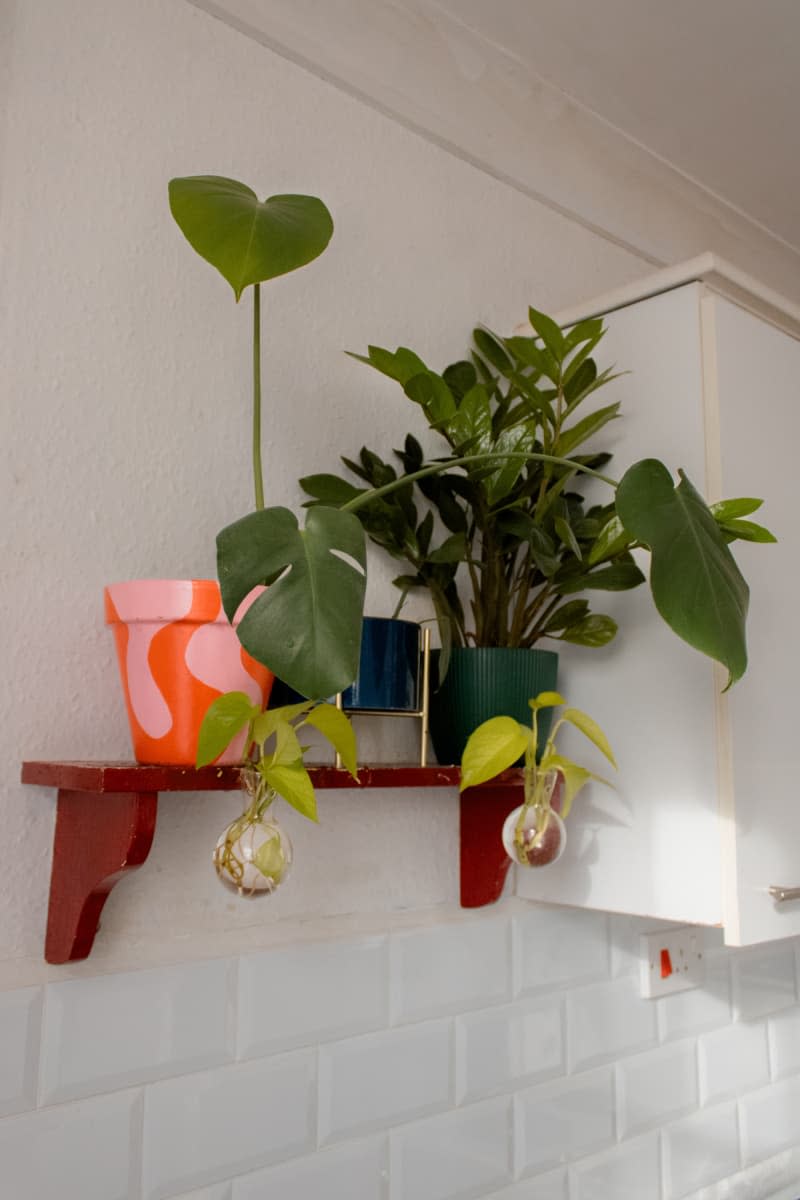 A planter holds a variety of plants on a shelf near a white kitchen cabinet.