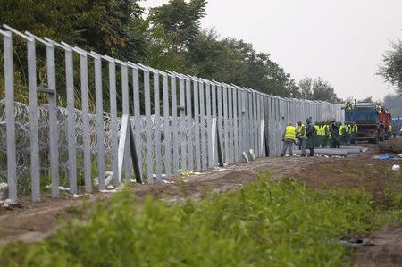 Inmates build a fence along the Hungarian border with Serbia near a collection point in Roszke, Hungary September 10, 2015. REUTERS/Laszlo Balogh