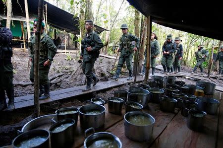 Members of the 51st Front of the Revolutionary Armed Forces of Colombia (FARC) stand in line to get food at a camp in Cordillera Oriental, Colombia, August 16, 2016. REUTERS/John Vizcaino