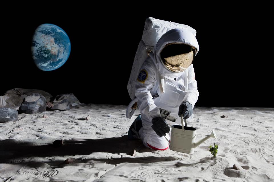 a person in a white spacesuit collects rocks on a mock up of the moon's surface