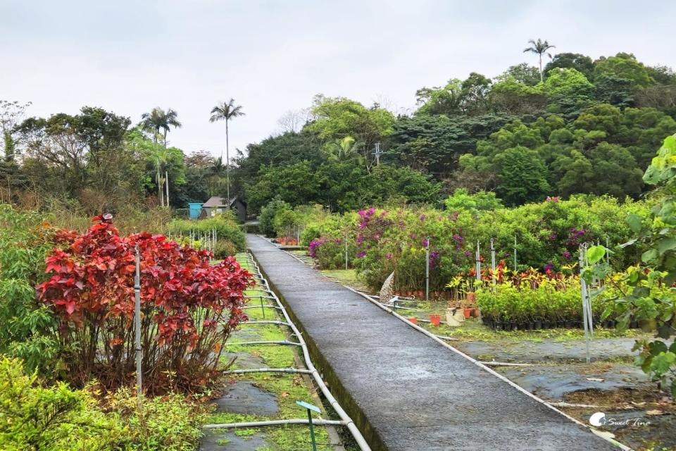 宜蘭仁山植物園