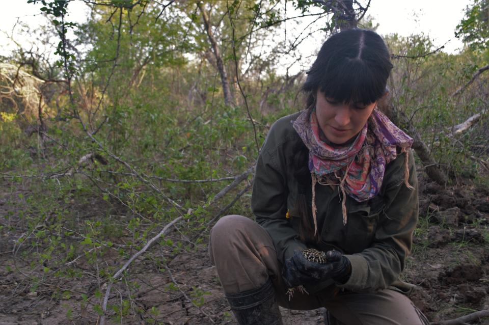 Isis Ibánez con una rana coralina