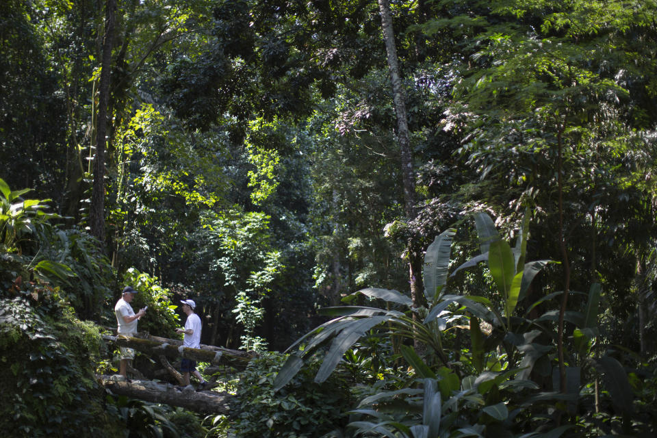 This Sept. 8, 2012 photo shows people walking over a bridge at Parque Lage in Rio de Janeiro, Brazil. About a half-mile away from the also-gorgeous but not free Jardim Botanico, or Botanical Gardens, Parque Lage has as much charm as its better-known neighbor. (AP Photo/Felipe Dana)