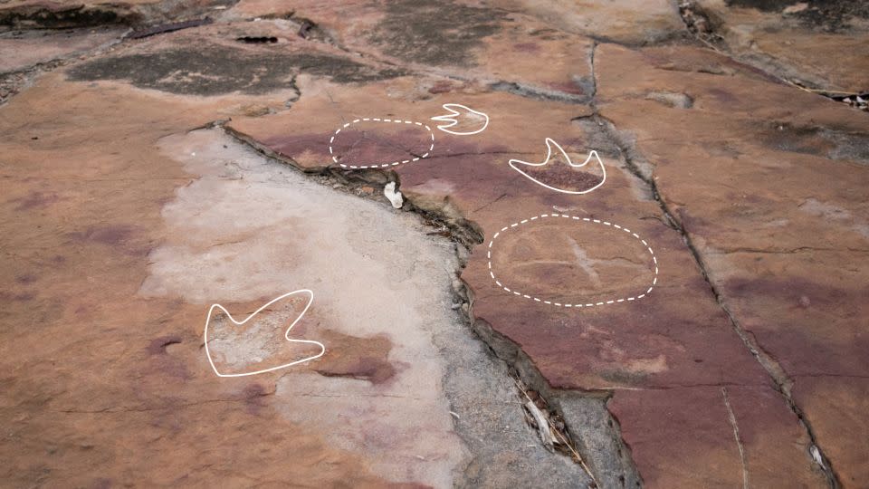 A dashed line indicates cave paintings made by indigenous people, while a solid line shows footprints of theropod dinosaurs.  -Leonardo Troiano