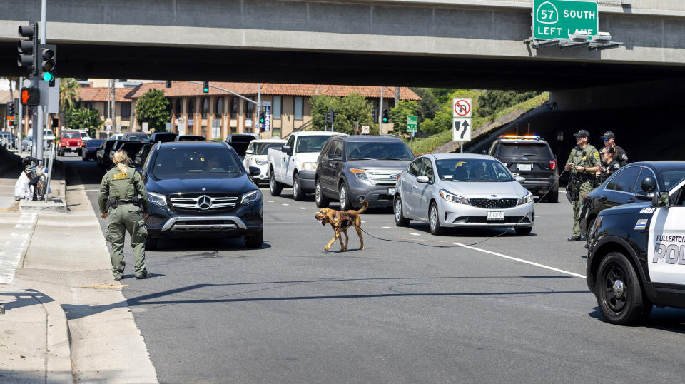 Police use a bloodhound while searching for a suspect that stabbed to death a retired Cal State Fullerton administrator on Monday, August 19, 2019 in Fullerton, Calif. The stabbing happened in Parking Lot S at College Place and Langsdorf Drive in Fullerton. (Paul Bersebach/The Orange County Register via AP)