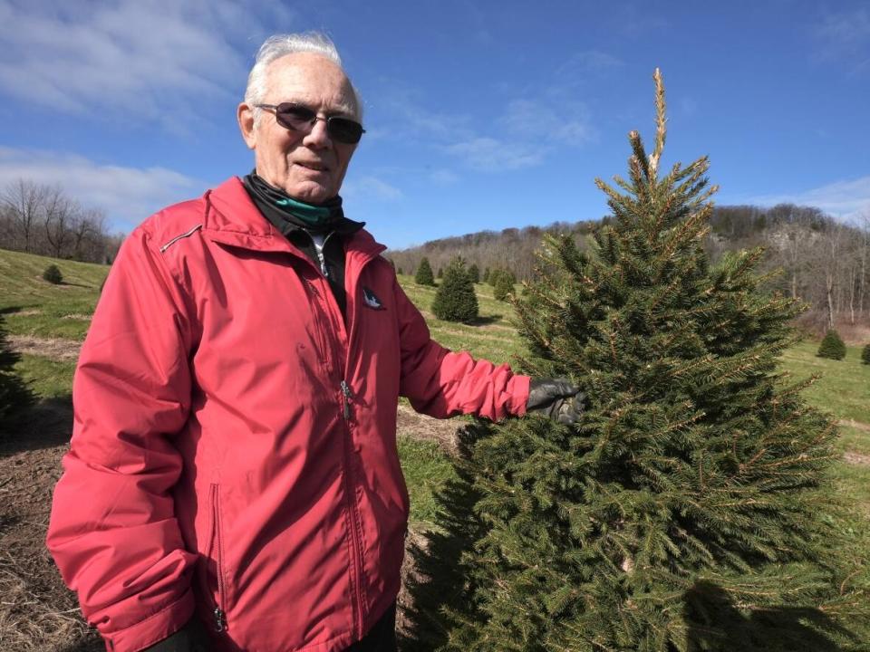 Brad Clements owns Clembrook Christmas Farm with his wife Jo Anne in Milton, Ont. While he grows and sells pine and spruce trees, they're not as popular as Fraser firs. (Martin Trainor/CBC - image credit)