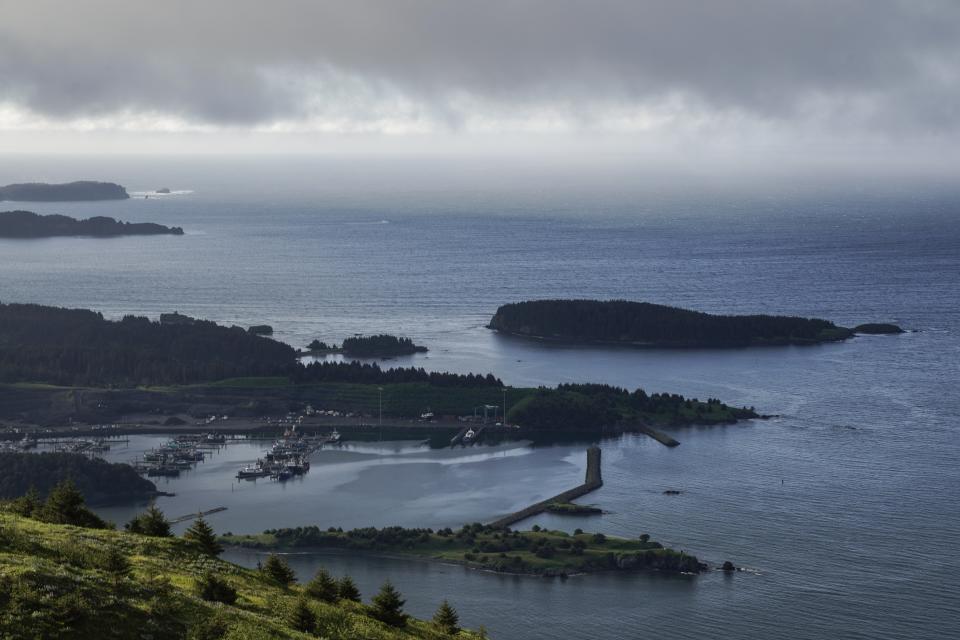 Fog hangs over Saint Herman Harbor on Sunday, June 25, 2023, in Kodiak, Alaska. Crab fishermen in Alaska have been scrambling to stay afloat after two years of the Bering Sea fishery being closed or severely curtailed due to plummeting crab numbers. (AP Photo/Joshua A. Bickel)