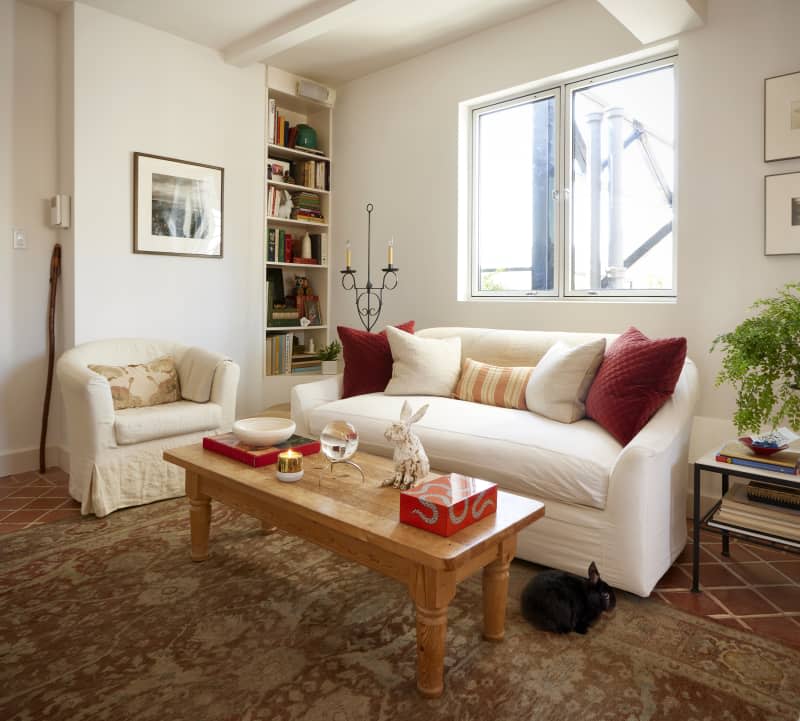 A living room with white walls couch, a love seat and a black pet bunny.