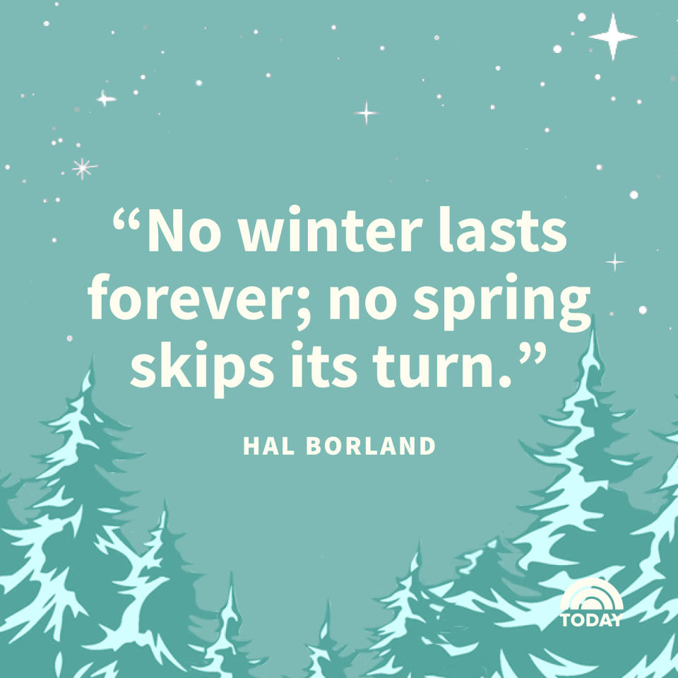 Winter Quotes