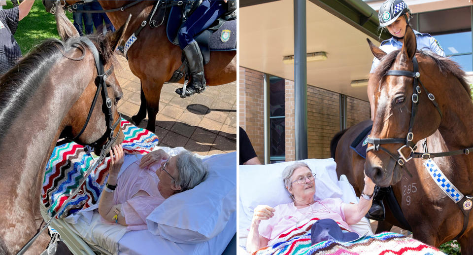 Rita Meredith (nee Browning) spending some time with NSW Mounted Police Horses 'Don' and 'Hollywood'. Photo Credit: NSW Mounted Police