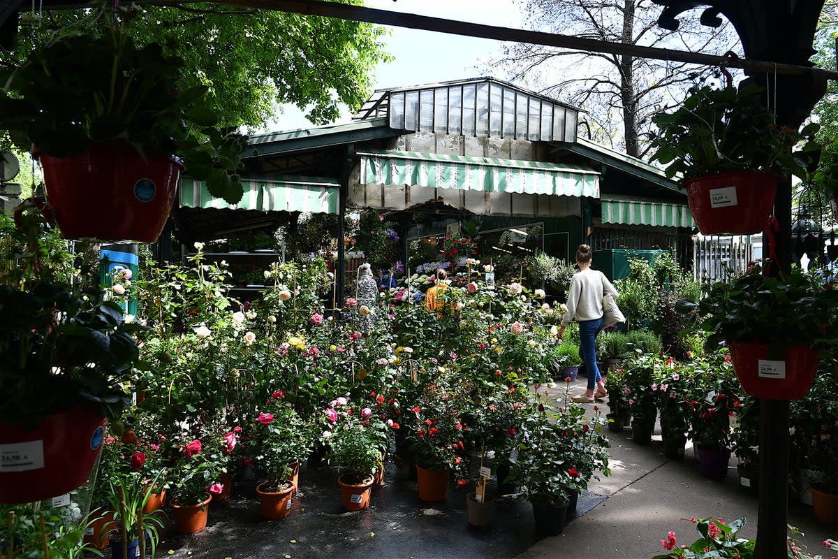 Be sure to pick up fresh blooms from Ile de la Cite flower market (Getty Images)