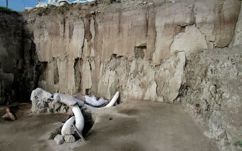 The bones of at least 14 mammoths were discovered - Credit: INAH/AFP via Getty Images