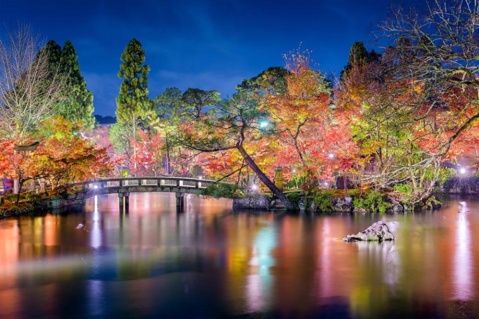 light reflecting the red leaves of autumn in Japan