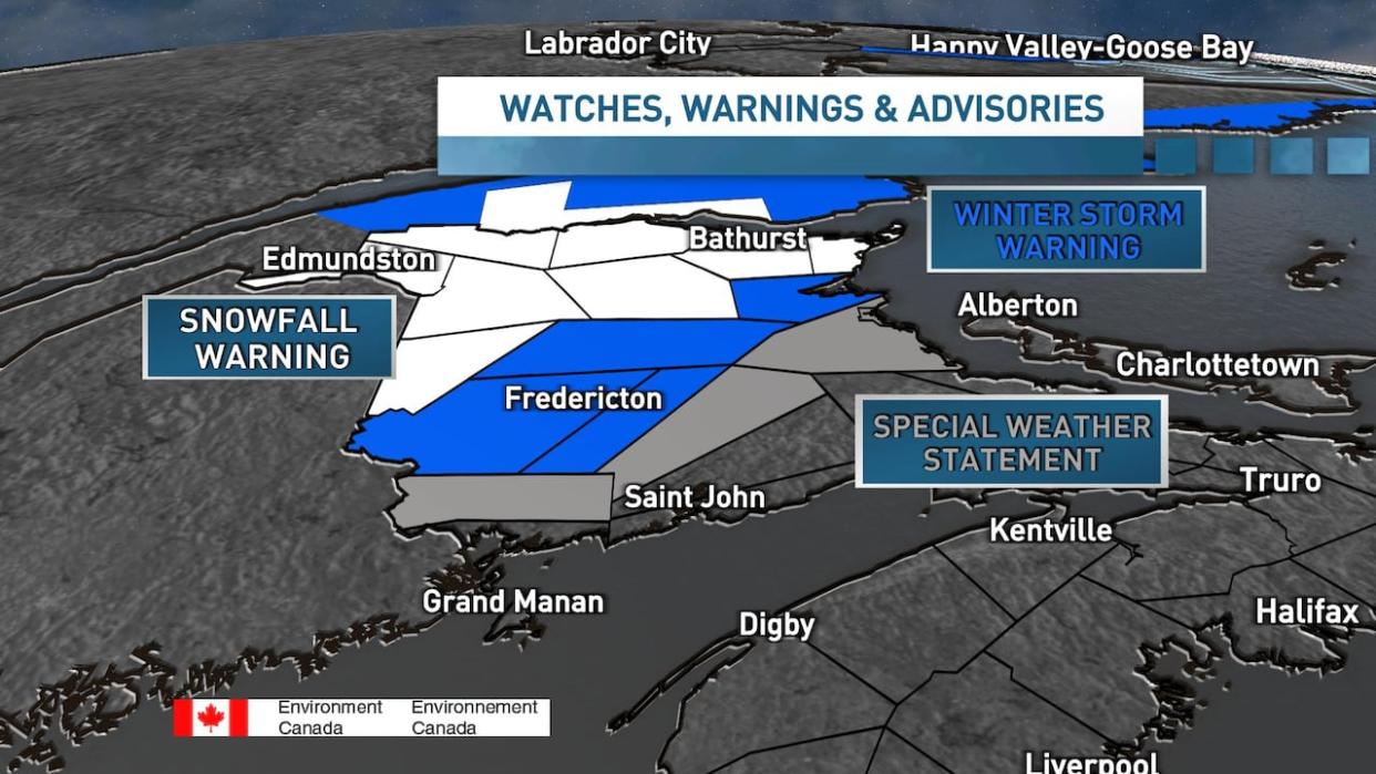Southern areas will see a messy mix of snow mixing to rain, while northern areas will see the heaviest snowfall where up to 25 cm is possible.   (Environment Canada - image credit)