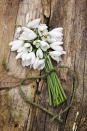 <p>Snow-white holiday blooms may seem like the perfect wintery gift for your host or hostess, but beware of cultural norms that could affect how they're received. 'Make sure your gift doesn't contain any cultural symbolism for the host,' says Blum. 'For example, white flowers in Asian cultures are considered funeral flowers.'</p>