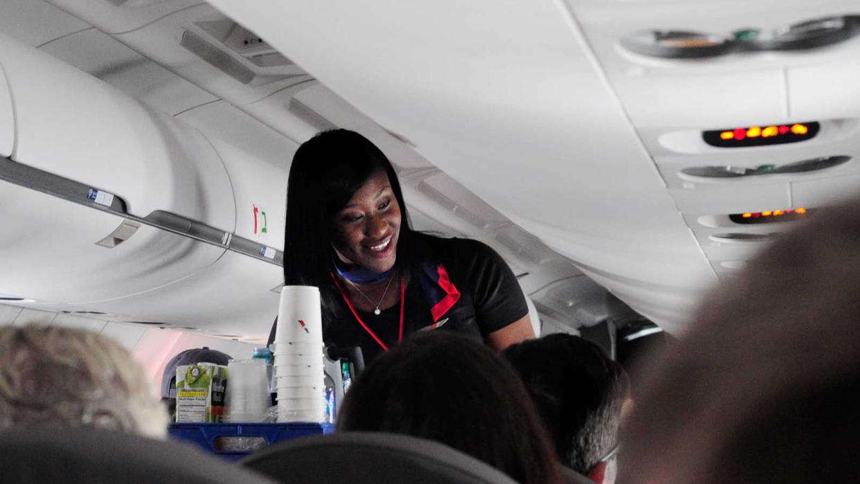 American Airlines Flight Attendant