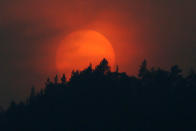 <p>The sun sets over a forest shrouded in smoke from the Siberian Taiga wildfire outside Krasnoyarsk, Russia, July 23, 2016. (Photo: Ilya Naymushin/REUTERS)</p>
