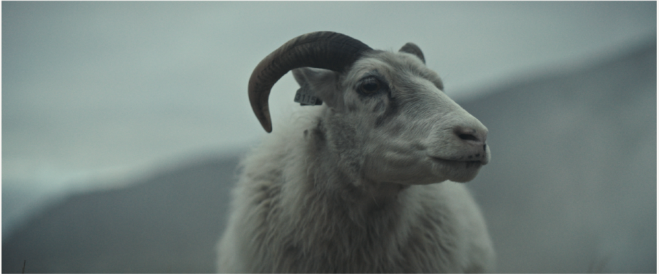 A mama ewe doesn't take kindly to a pair of sheep farmers raising her child as their own in "Lamb."