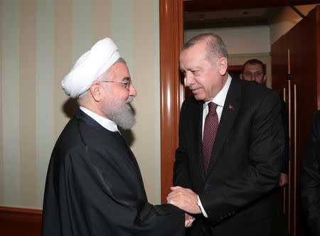 Turkish President Tayyip Erdogan meets with his Iranian counterpart Hassan Rouhani in Sochi, Russia, February 14, 2019. Murat Cetinmuhurdar/Turkish Presidential Press Office/Handout via REUTERS