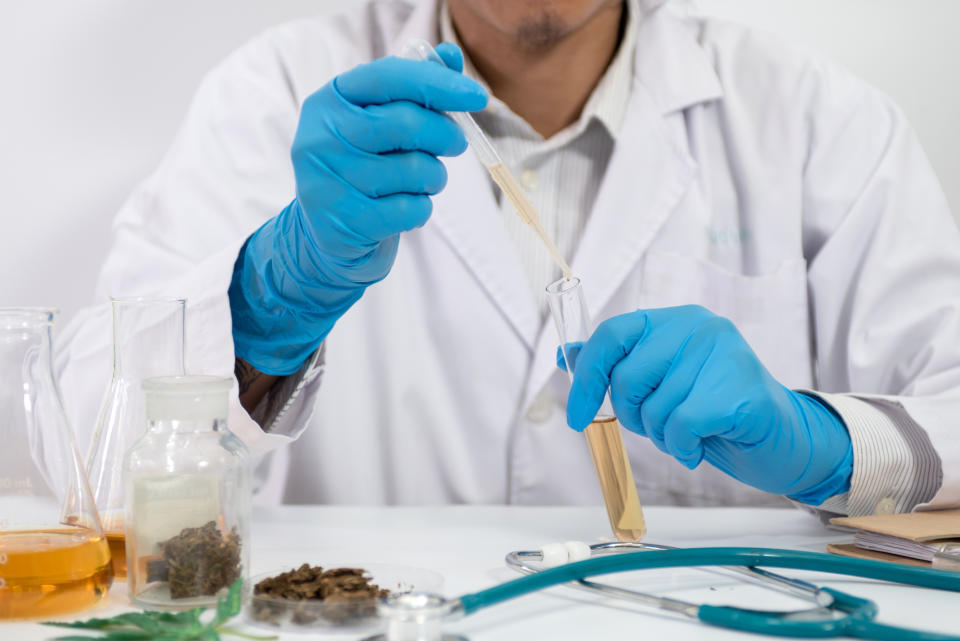 A lab researcher wearing gloves and holding a pipette and a test tube with amber-colored solution. There are cannabis buds and other lab equipment on the table in front.