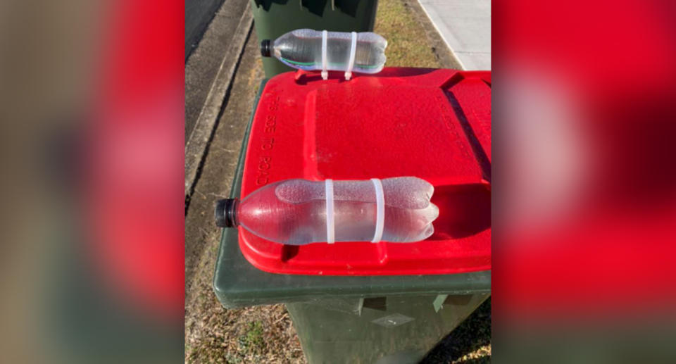 Two full bottles tied to a wheelie bin lid. Source: Facebook