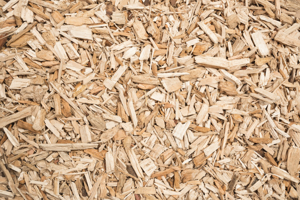 Woodchips for biopower