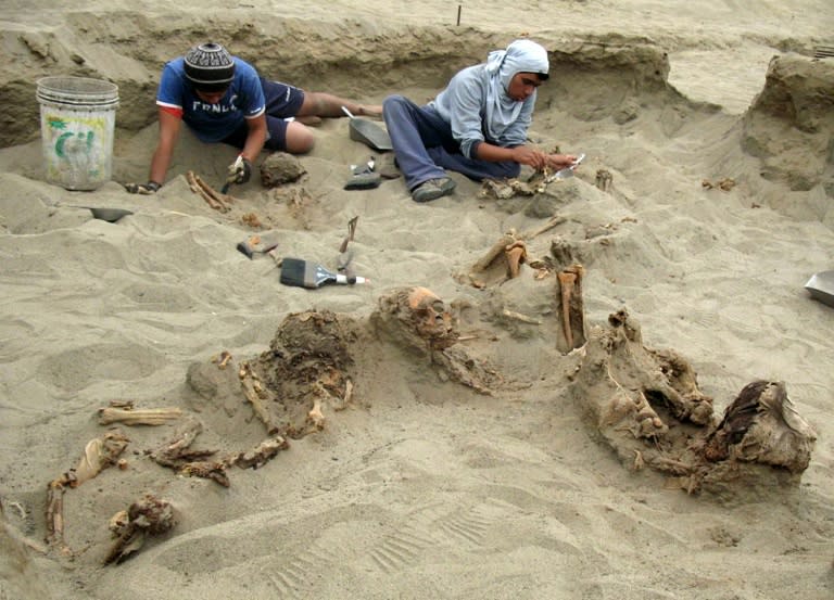 Excavations near the northern Peruvian coastal city of Trujillo began in 2011 when archaeologists uncovered the remains of 42 children and 76 llamas