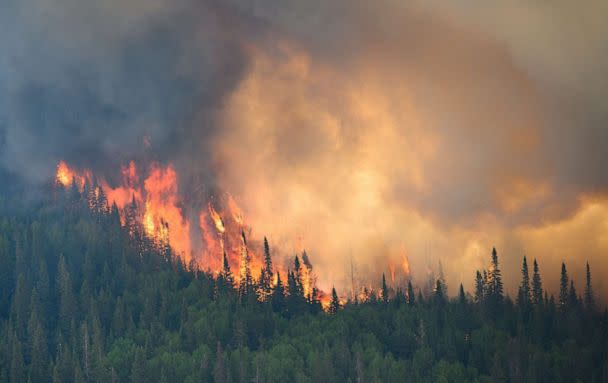 PHOTO: Flames reach upwards along the edge of a wildfire as seen from a Canadian Forces helicopter surveying the area near Mistissini, Quebec, Canada, June 12, 2023. (Canadian Forces/CPL Marc-Andre Leclerc/Canadian Forces via Reuters)