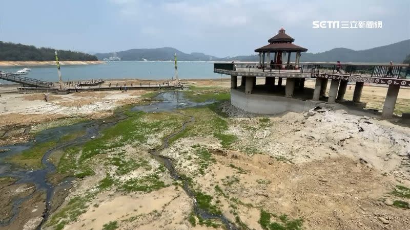 日月潭因為水位降低，潭底變成一片大草原。