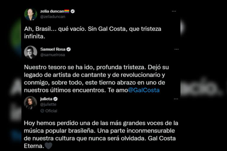 Artistas despidieron a Gal (Captura video)