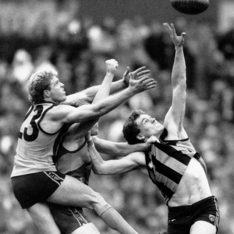 1991 Grand Final. Hawthorn v West Coast Eagles. VFL Park. Dermott Brereton and Paul Dear. Neg: 910929/73