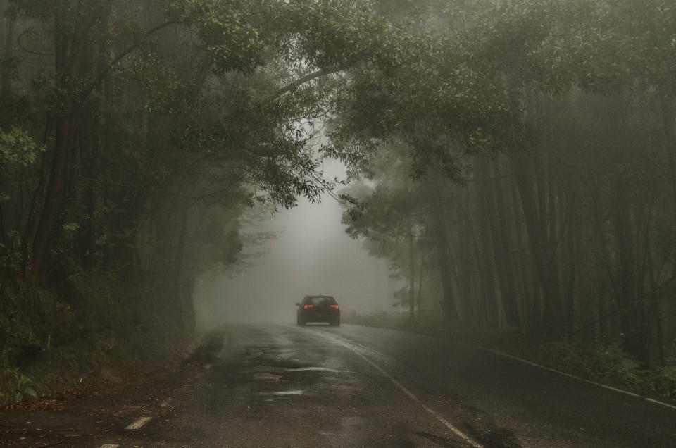 圖／巴拉卡公路沿途枝葉茂密，長年遮住陽光導致容易聚陰，無論哪個時節，總有揮之不去的濃霧。（圖為示意照）