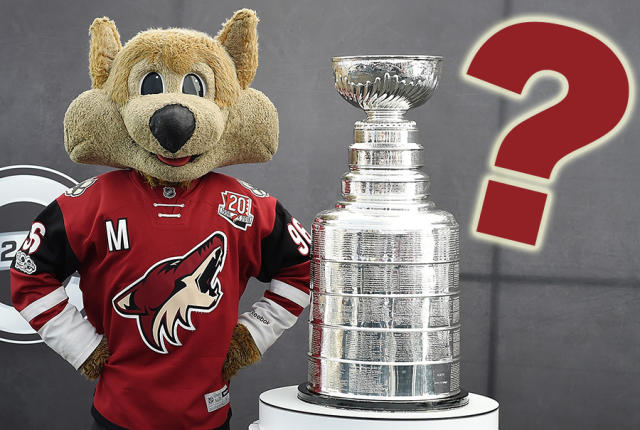 What's next? A brief history of the Arizona Coyotes