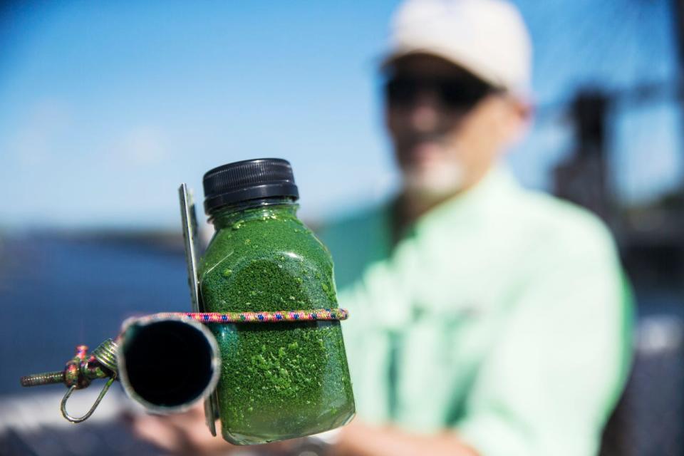 John Cassani, the Calusa Waterkeeper takes a sample of algae from on east side of the Franklin Locks  on Tuesday, May 18, 2021. It will be tested to see if it is Cyanobacteria or blue-green algae.  